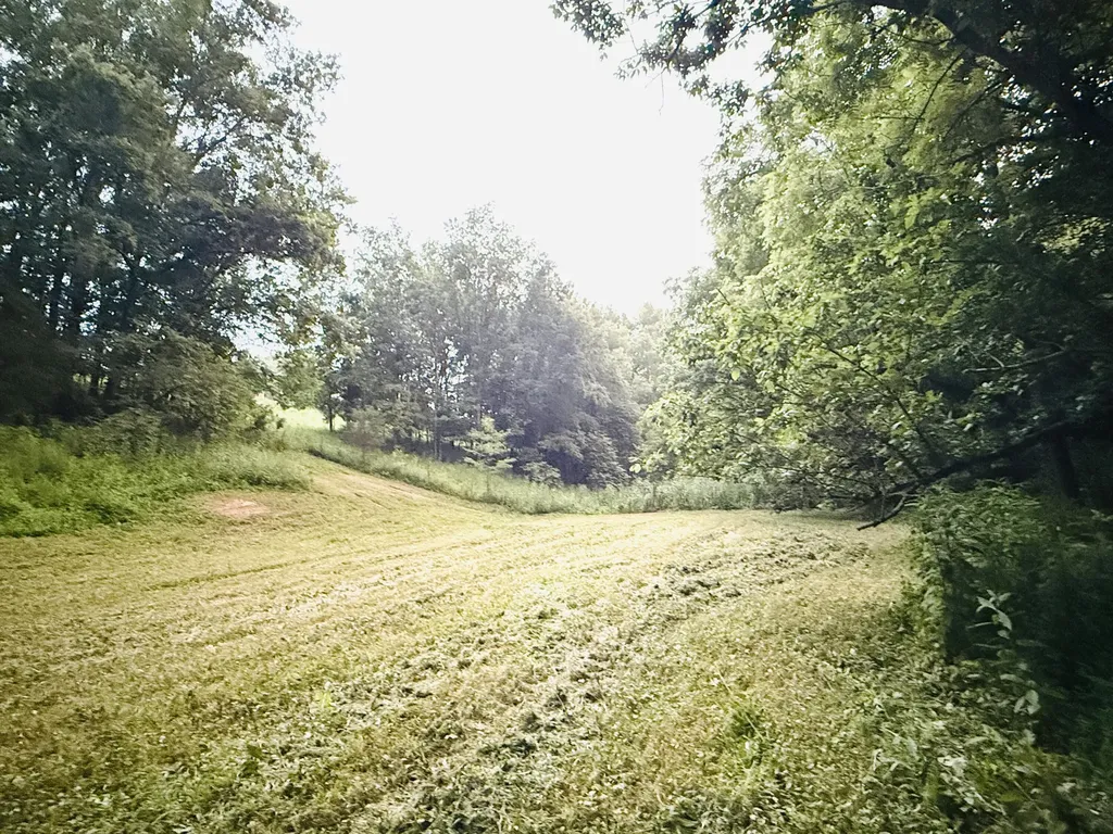 1231 Pleasant Grove Ridge Road Lawrenceburg KY 40342