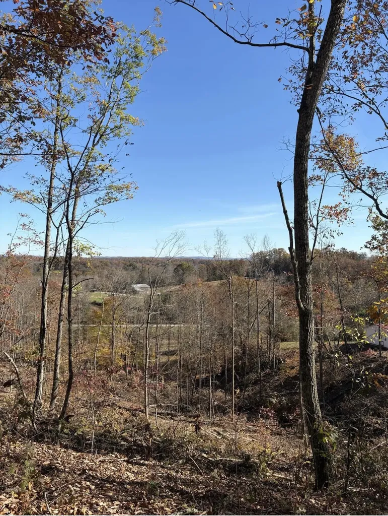 564 Trapp-goffs Cor Road Winchester KY 40391