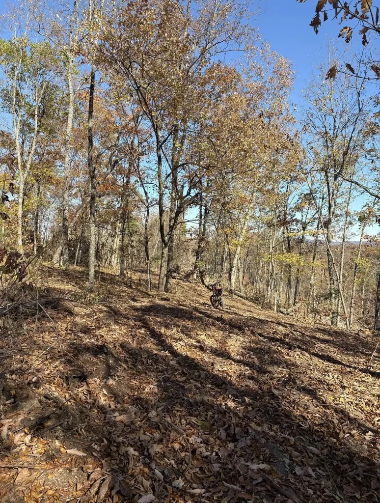 564 Trapp-goffs Cor Road Winchester KY 40391
