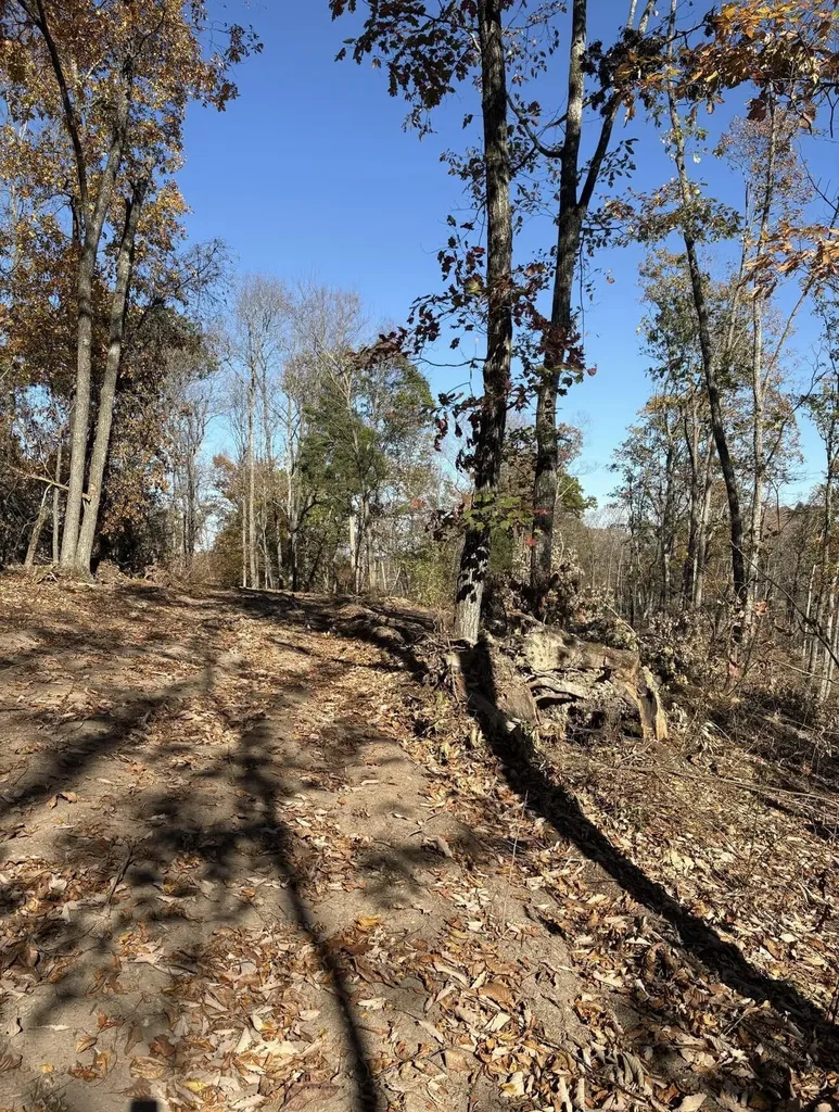 564 Trapp-goffs Cor Road Winchester KY 40391