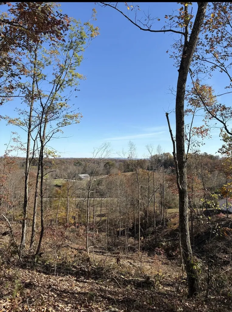 564 Trapp-goffs Cor Road Winchester KY 40391