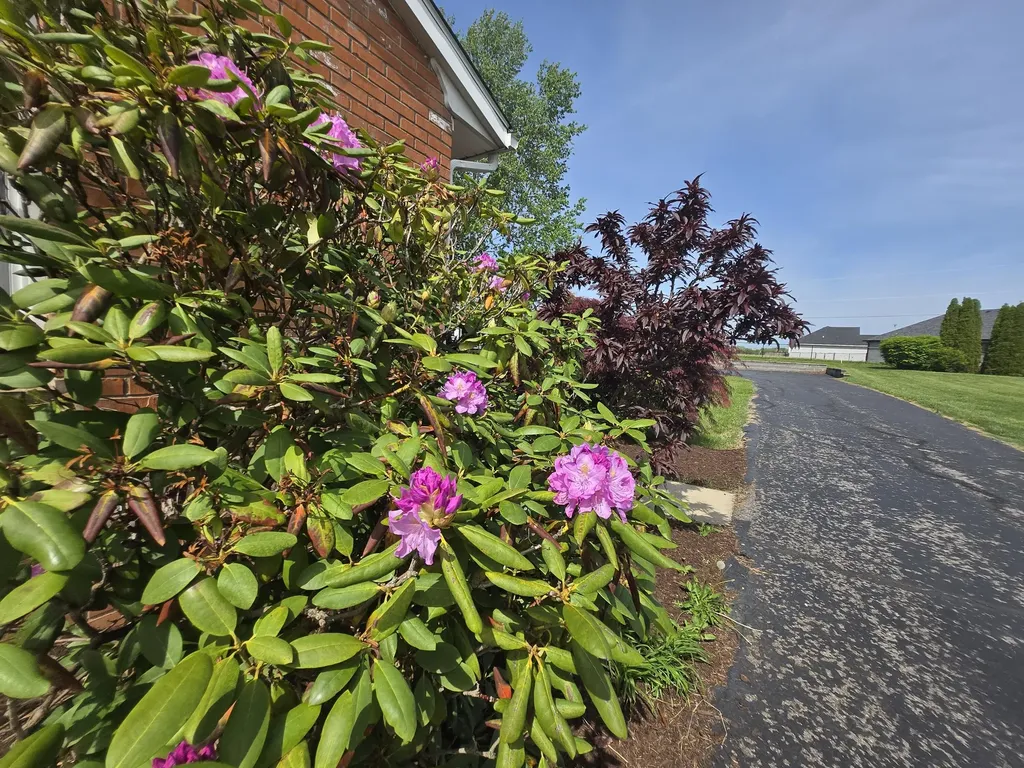 342 Pleasant Hill Drive Harrodsburg KY 40330
