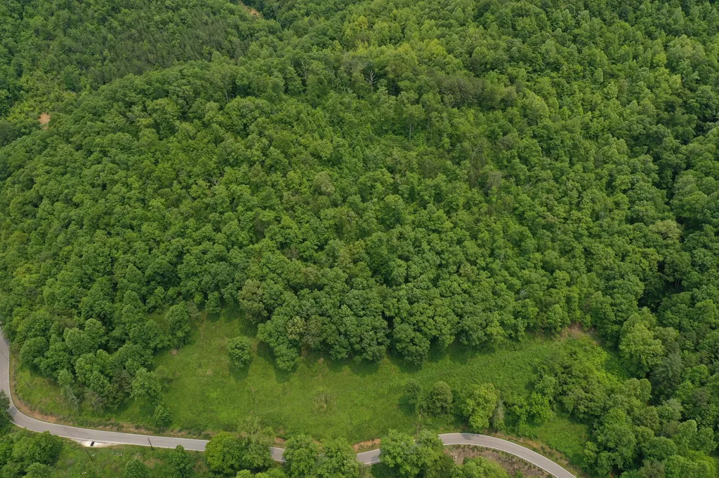 0 Lost Creek Road Hazard KY 41701