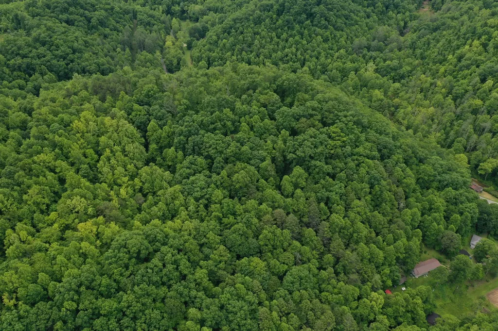 0 Lost Creek Road Hazard KY 41701