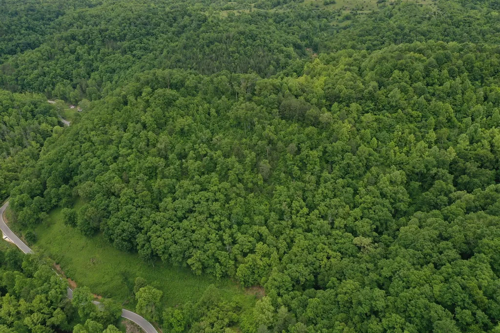 0 Lost Creek Road Hazard KY 41701