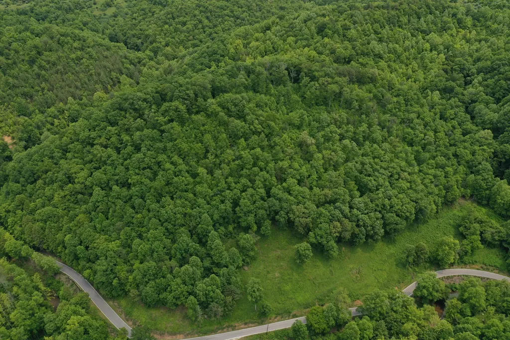 0 Lost Creek Road Hazard KY 41701