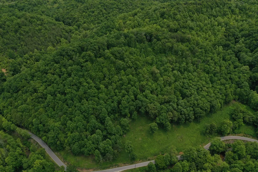 0 Lost Creek Road Hazard KY 41701