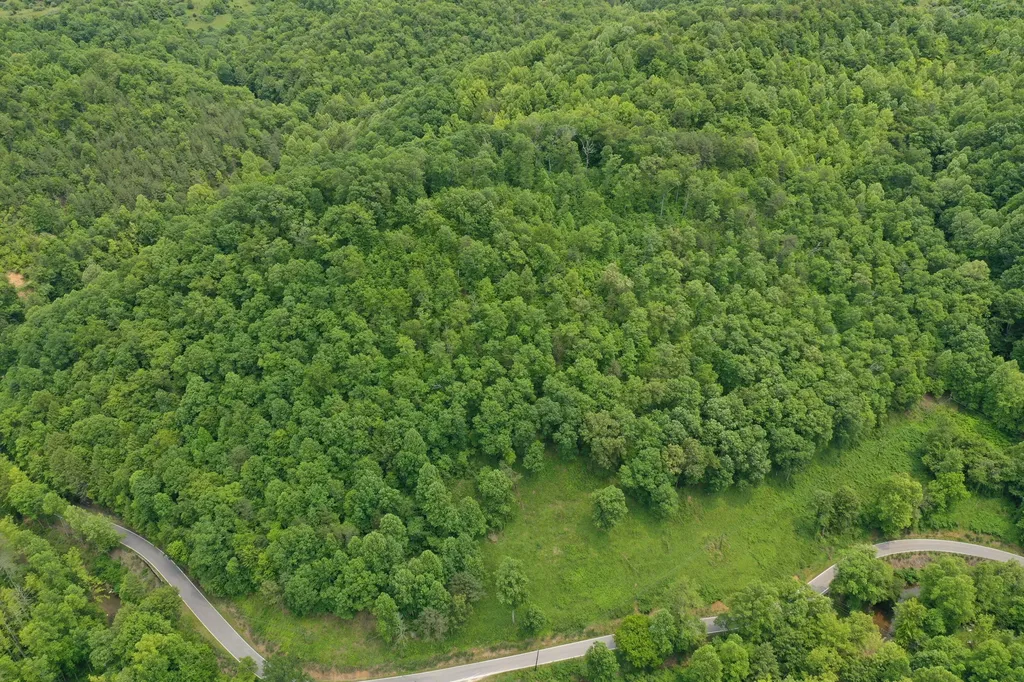 0 Lost Creek Road Hazard KY 41701