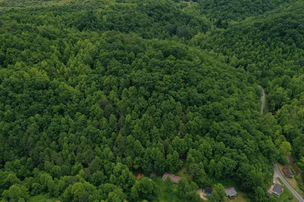 0 Lost Creek Road Hazard KY 41701