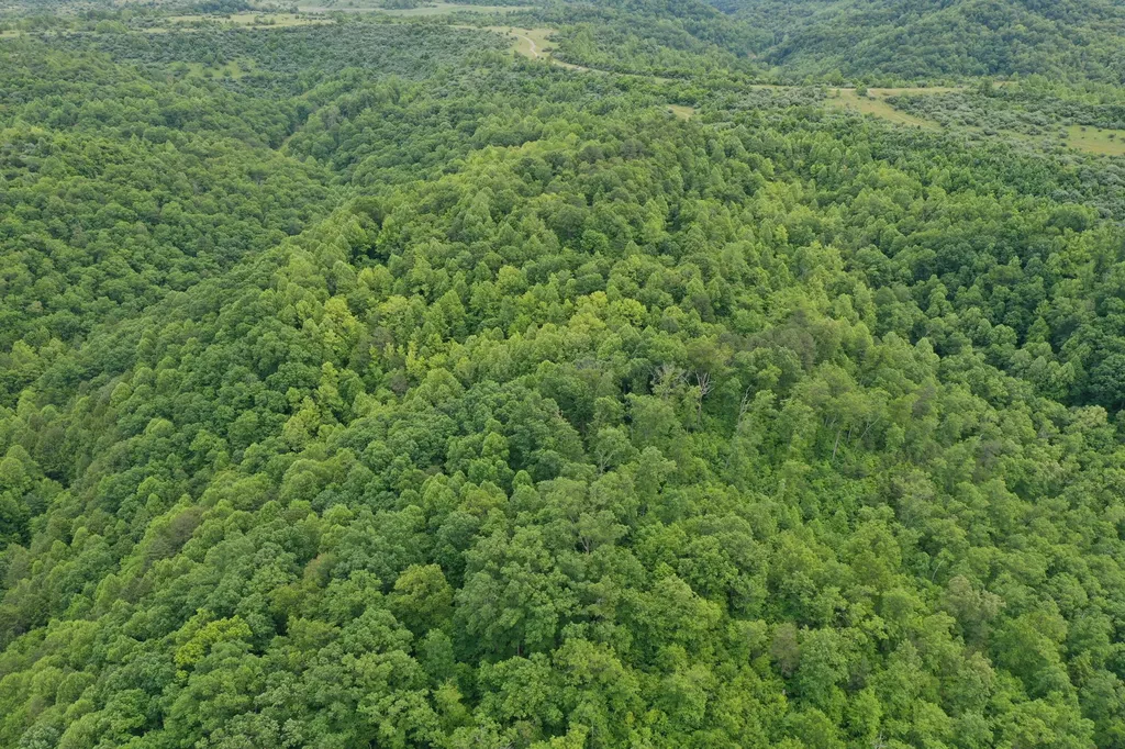 0 Lost Creek Road Hazard KY 41701