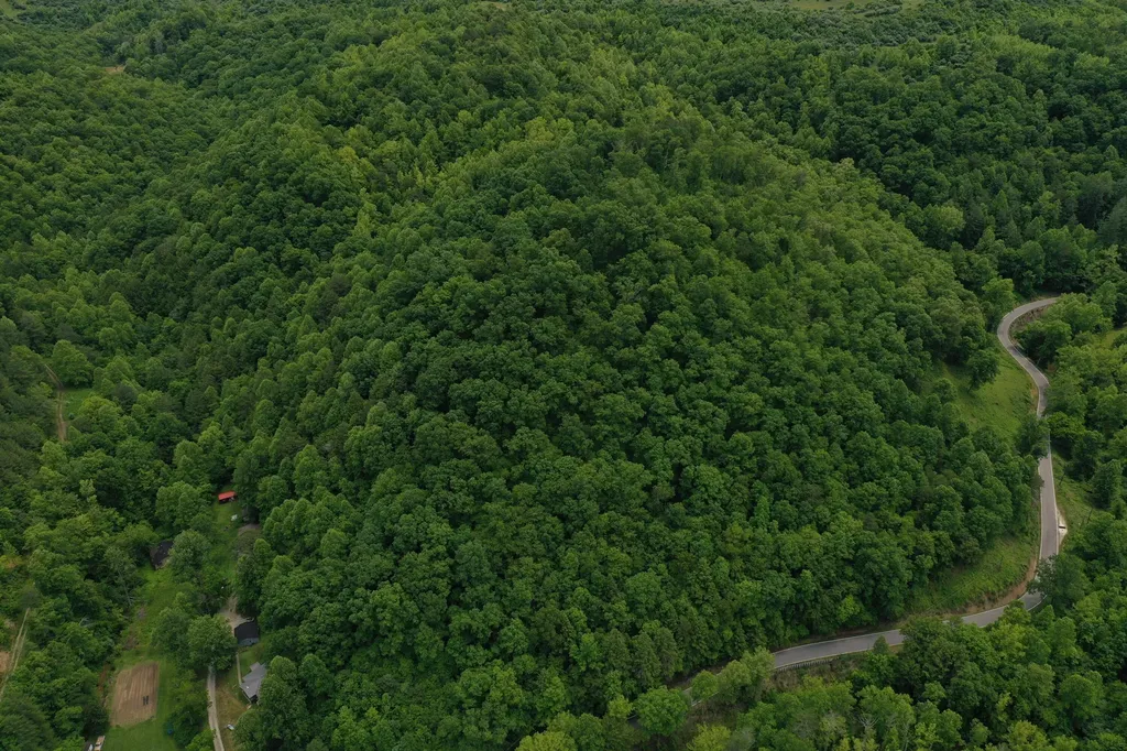 0 Lost Creek Road Hazard KY 41701