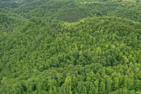0 Lost Creek Road Hazard KY 41701
