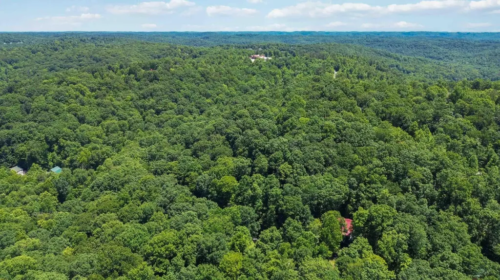 467 Harmony Lane Burnside KY 42519