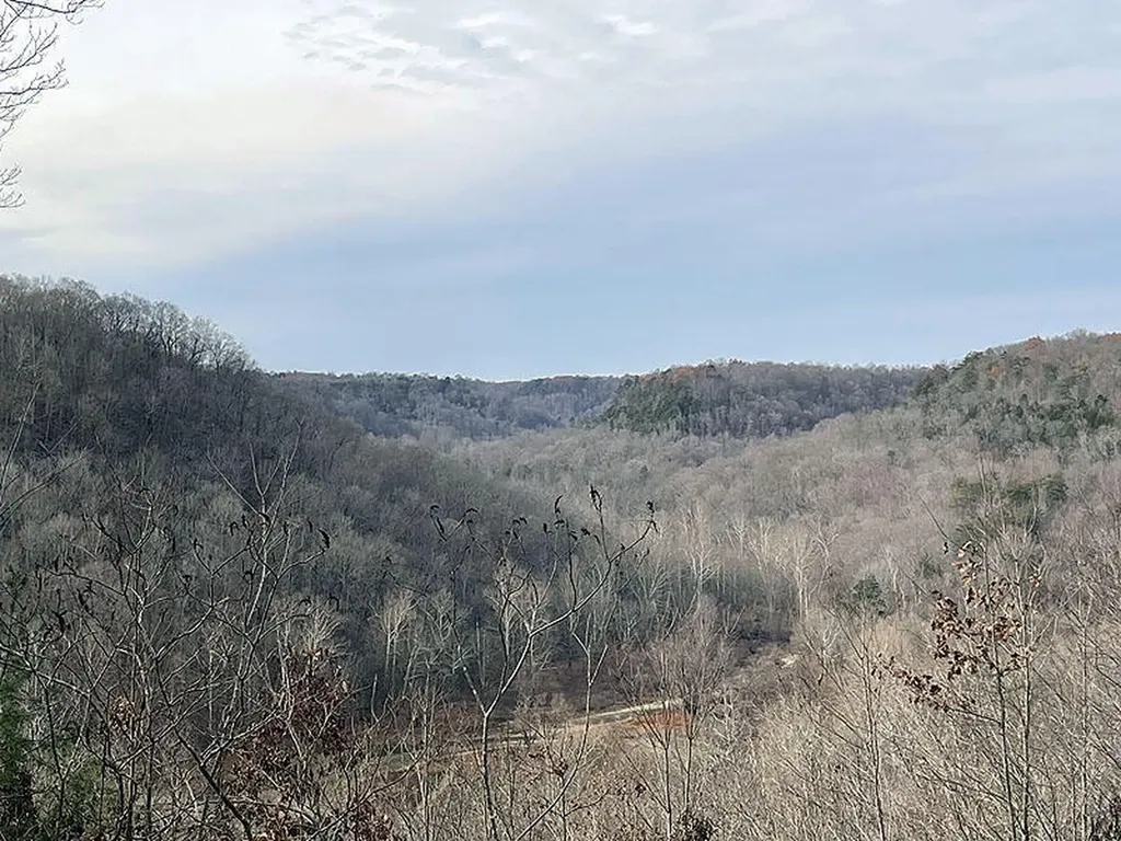 Lot 145 Stillwater Russell Springs KY 42642