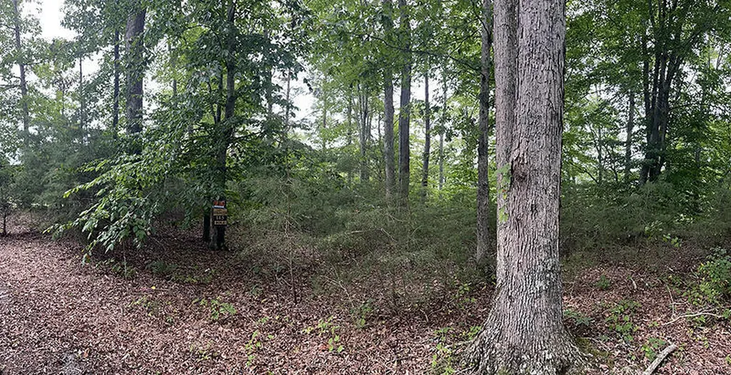 Lot 145 Stillwater Russell Springs KY 42642