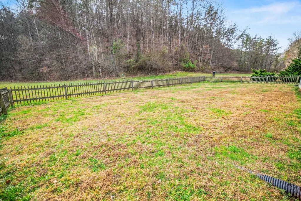 2581 Corder Flats Road Strunk KY 42649