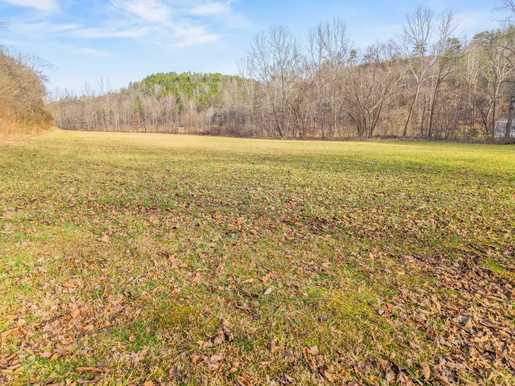 2581 Corder Flats Road Strunk KY 42649