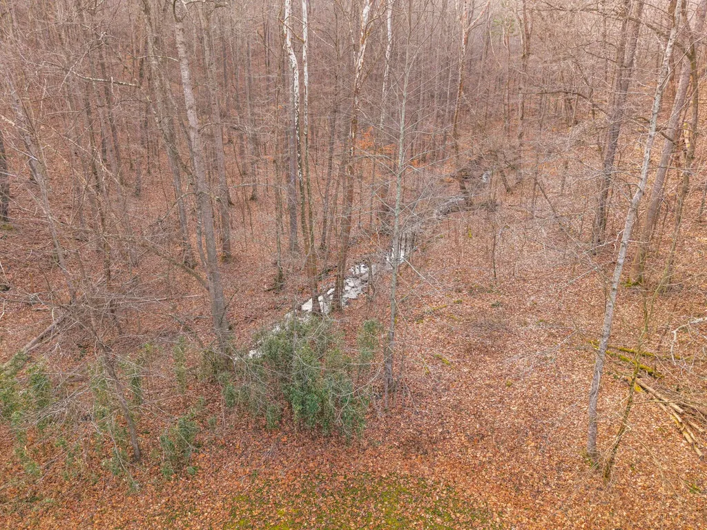 2581 Corder Flats Road Strunk KY 42649
