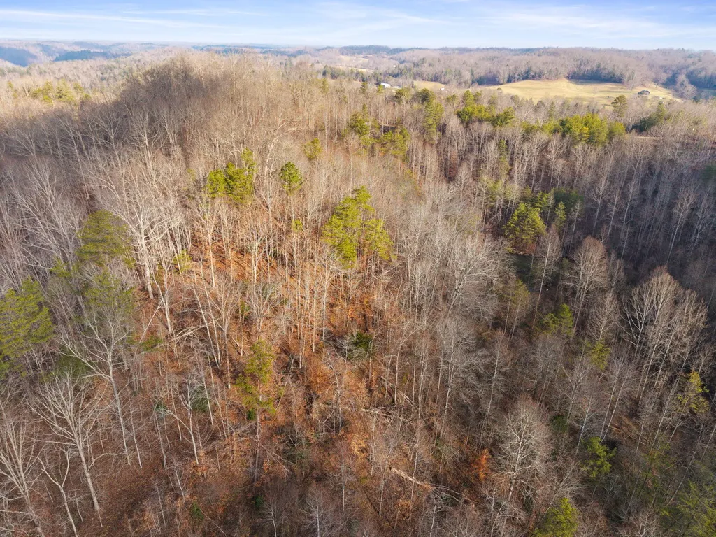 0 Marshall Drive Beattyville KY 41311