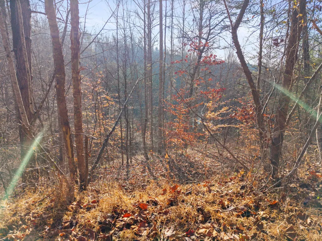 0 Marshall Drive Beattyville KY 41311
