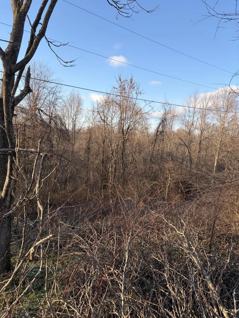 9998 Hurst School Road Mckee KY 40447