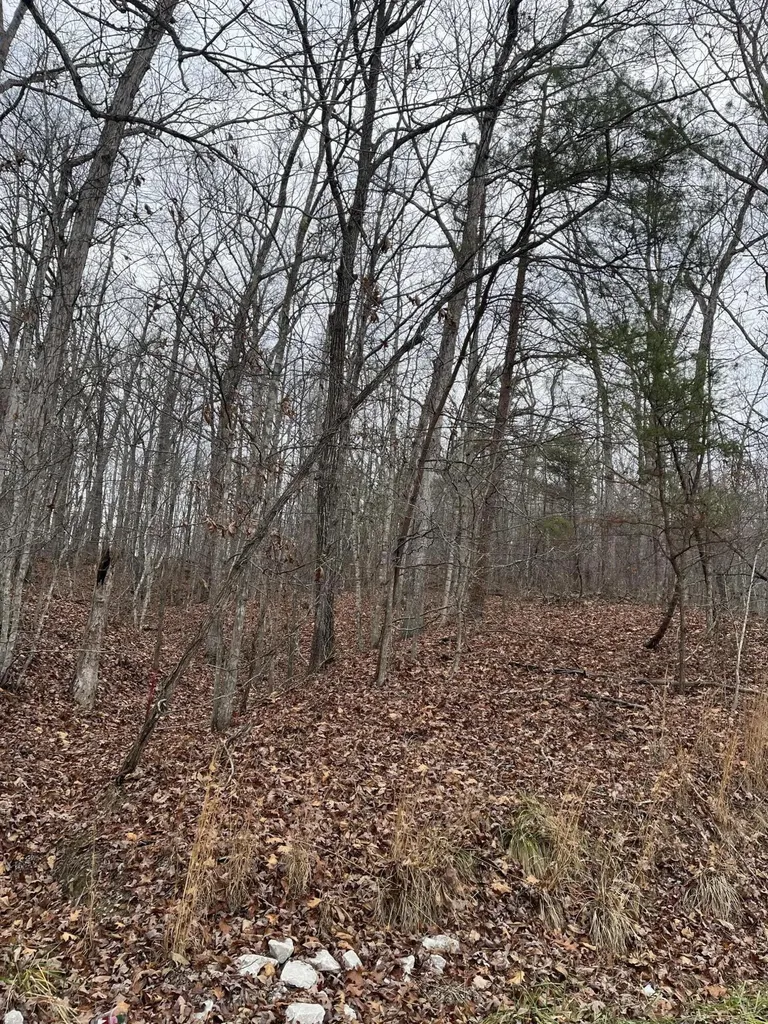 3504 East Fork Road Means KY 40346