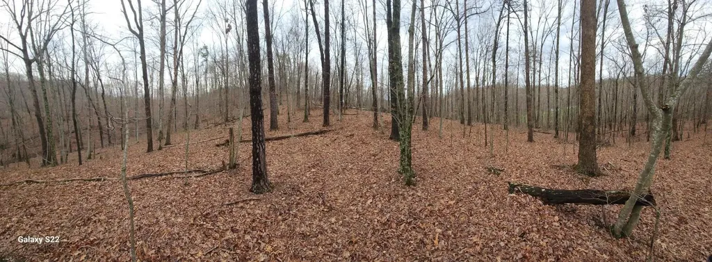 3504 East Fork Road Means KY 40346