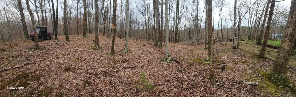 3504 East Fork Road Means KY 40346
