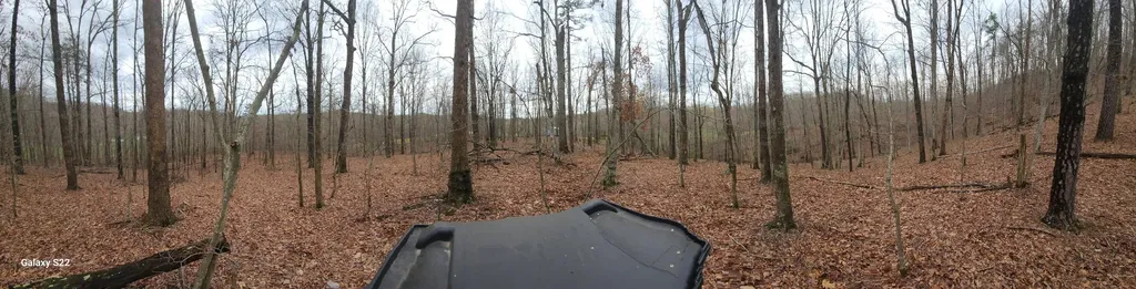 3504 East Fork Road Means KY 40346