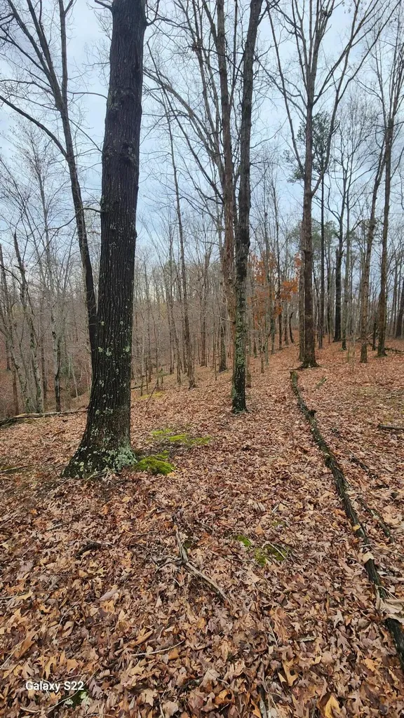 3504 East Fork Road Means KY 40346