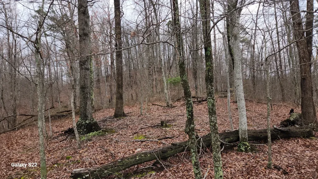 3504 East Fork Road Means KY 40346