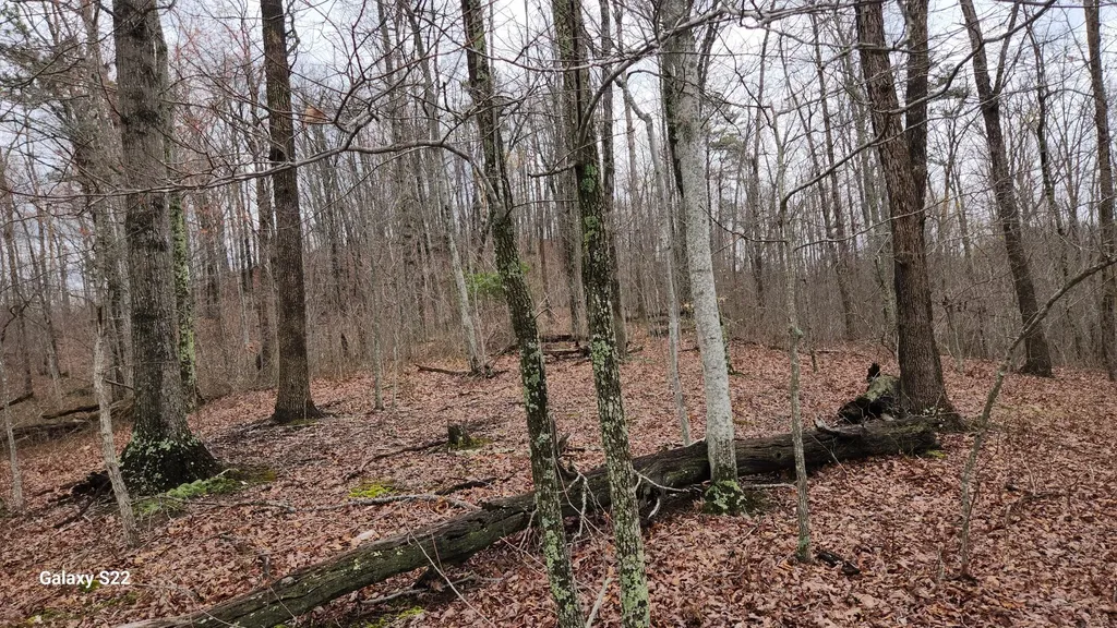 3504 East Fork Road Means KY 40346