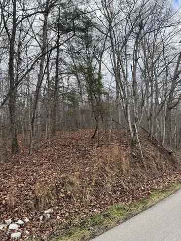 3504 East Fork Road Means KY 40346