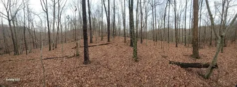 3504 East Fork Road Means KY 40346