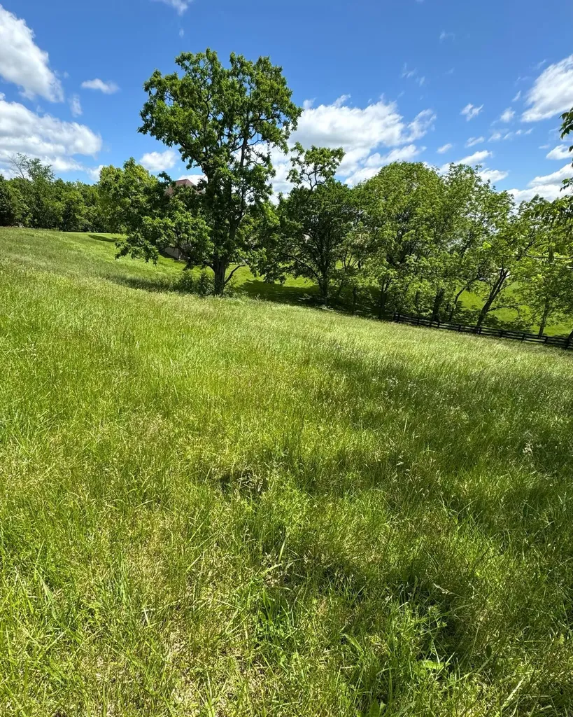 200 Victoria Way Georgetown KY 40324