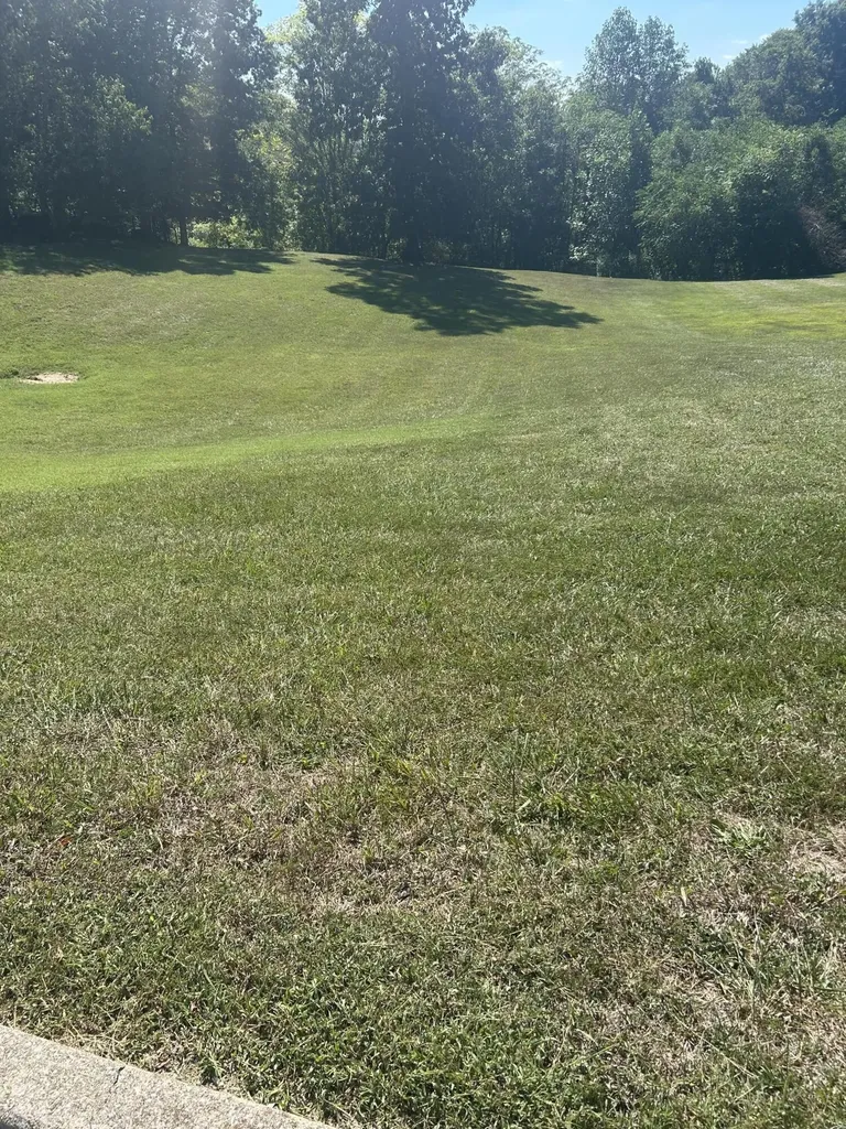 Lots 8-9 Lakepointe Drive Somerset KY 42503