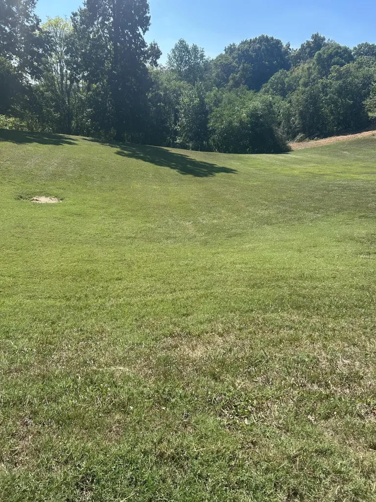 Lots 8-9 Lakepointe Drive Somerset KY 42503