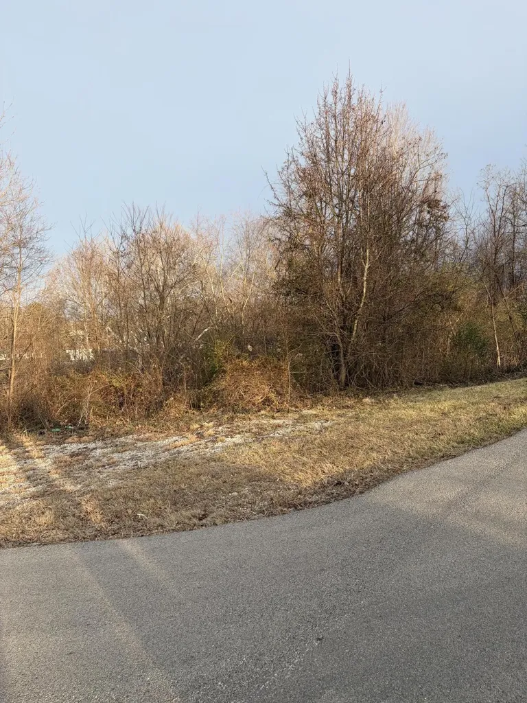 1306 Griffin Street London KY 40741