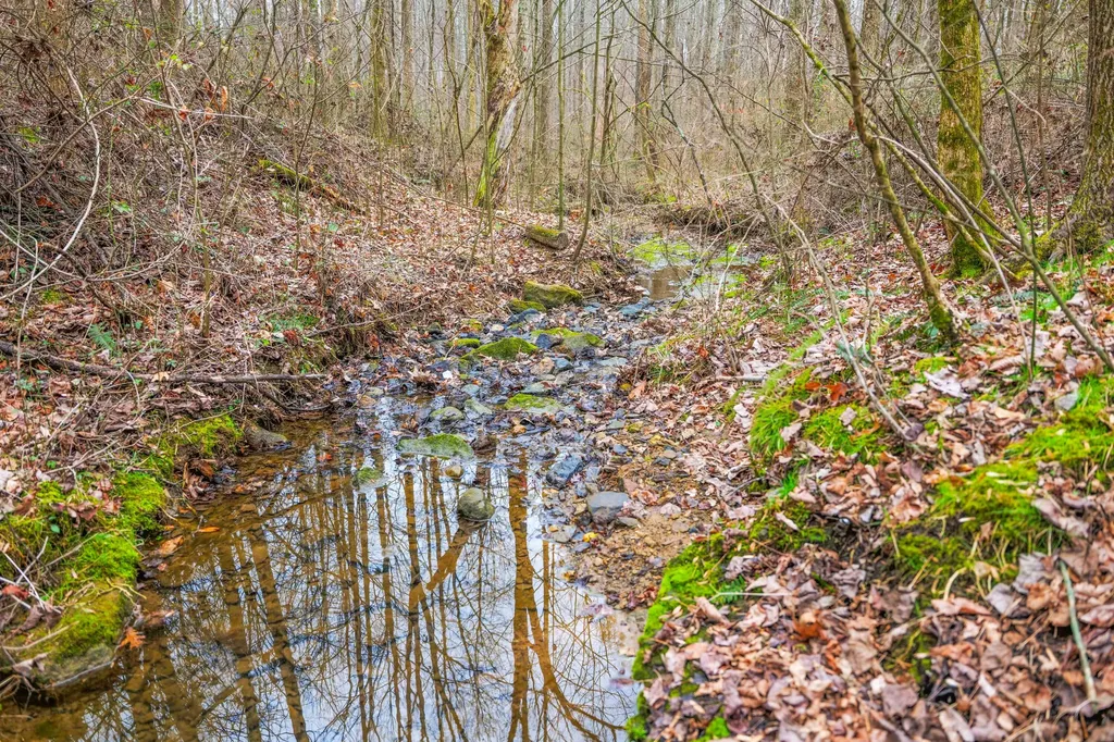 77 Barnett Road Russell Springs KY 42642