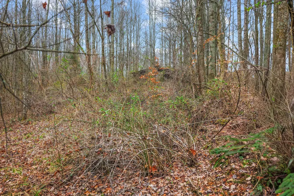 77 Barnett Road Russell Springs KY 42642