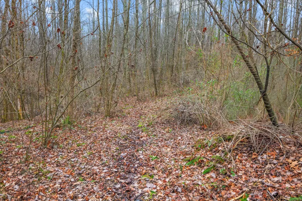 77 Barnett Road Russell Springs KY 42642