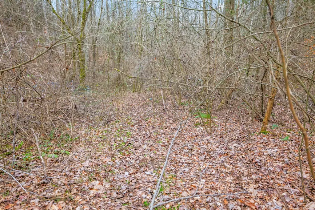 77 Barnett Road Russell Springs KY 42642