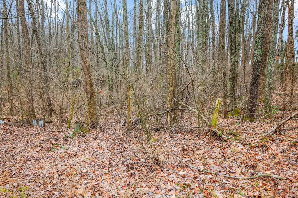 77 Barnett Road Russell Springs KY 42642