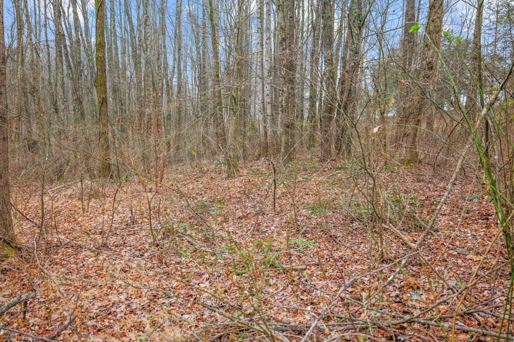 77 Barnett Road Russell Springs KY 42642