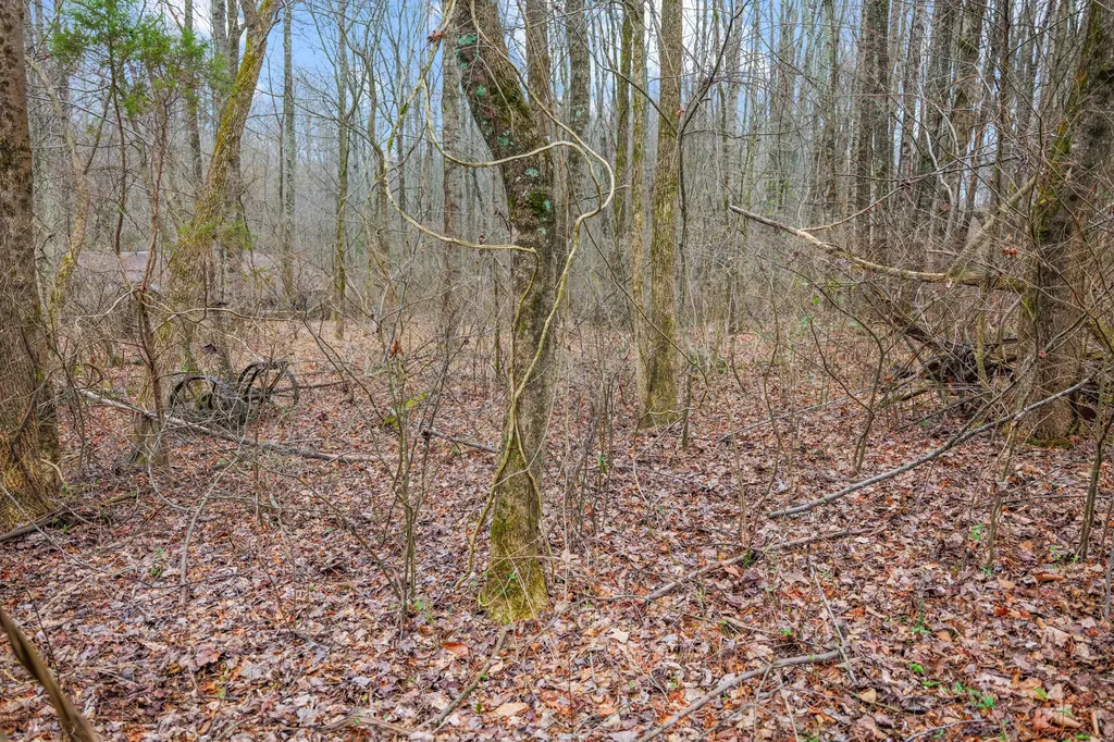 77 Barnett Road Russell Springs KY 42642