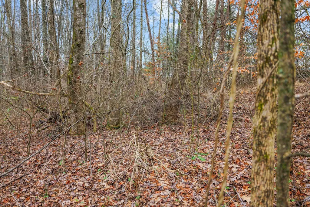 77 Barnett Road Russell Springs KY 42642