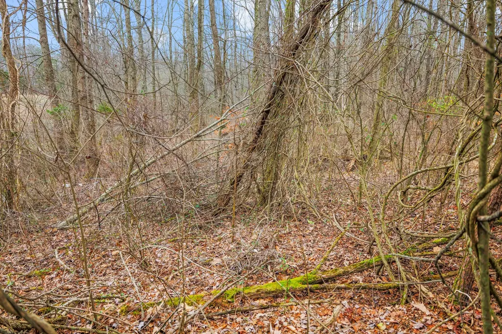 77 Barnett Road Russell Springs KY 42642