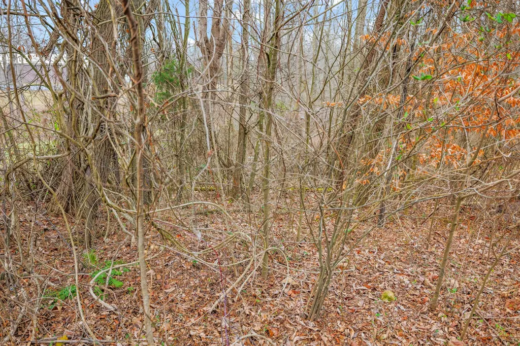 77 Barnett Road Russell Springs KY 42642