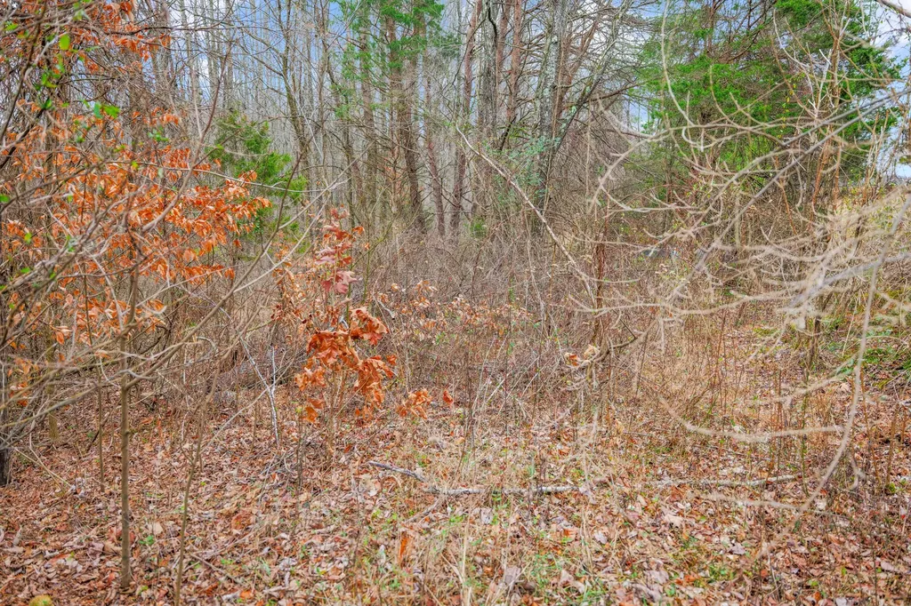 77 Barnett Road Russell Springs KY 42642