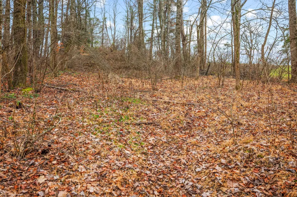 77 Barnett Road Russell Springs KY 42642